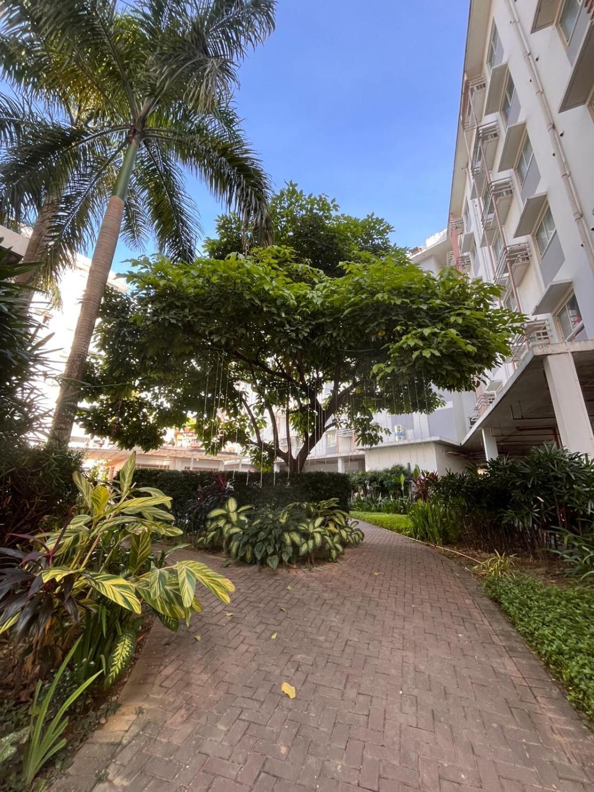 Aparthotel Summum Bonum Bliss - Lahug Cebú Exterior foto